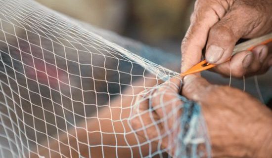 conservas gourmet felisa